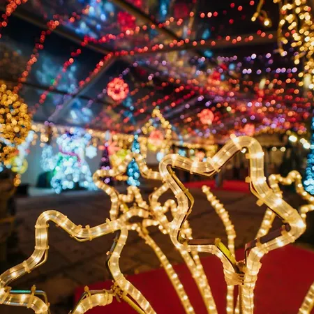 Madison, Spacious Sea View Near Zadar With Heated Pool Apartment *